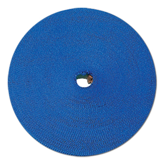 Webbing Blue 1" x 100'